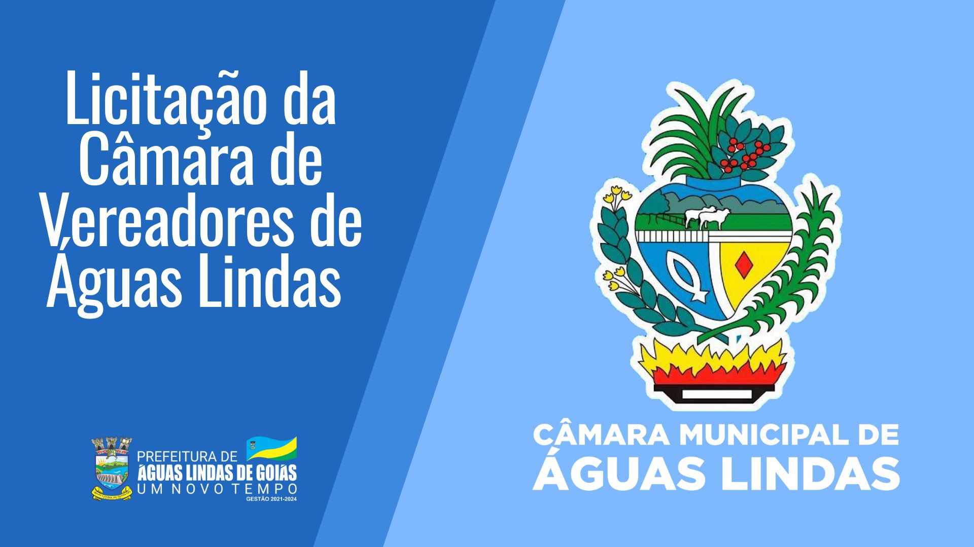 campanha publicitaria câmara de vereadores